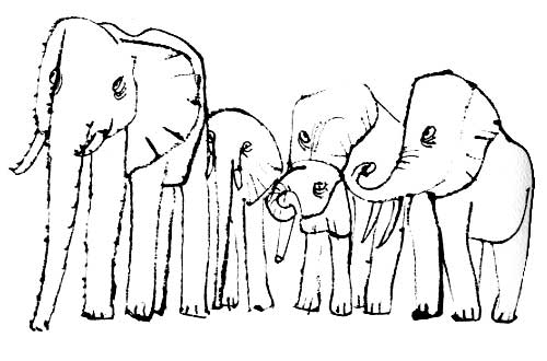 elephants-shahn
